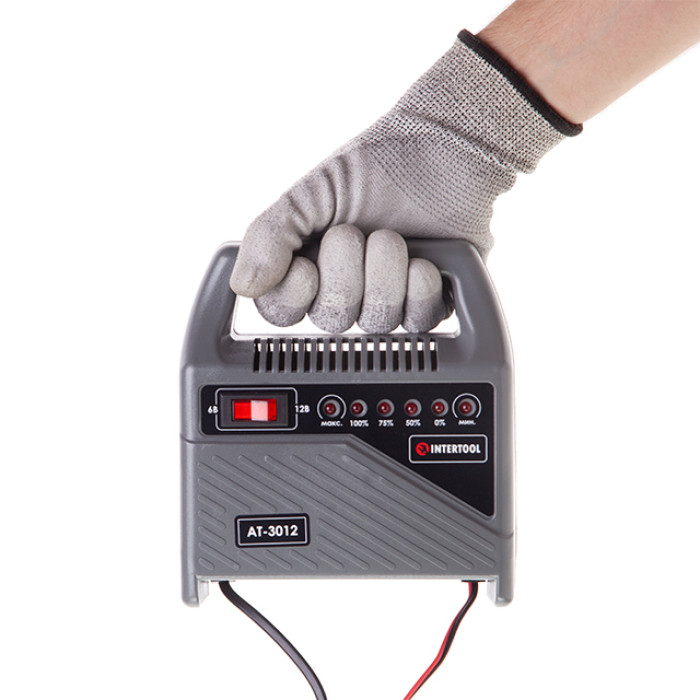 Пристрій зарядний для акумуляторів 6/12 В, 70 Вт, 10-60 Аг, світлодіодна індикація, з трансформатором