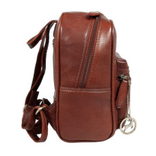 Рюкзак туристичний Ashwood T87 Chestnut