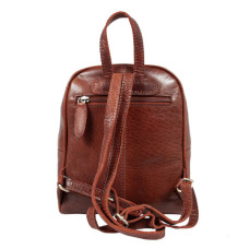 Рюкзак туристичний Ashwood T87 Chestnut