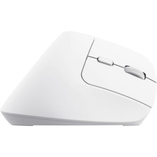 Мишка Trust Bayo+ Ergonomic Wireless/Bluetooth White (25399)