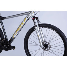 Велосипед Formula 29" F-1 DD CS рама-19" AL 2026 сріблясто-чорний (OPS-FR-29-436)