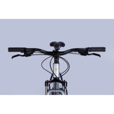 Велосипед Formula 29" F-1 DD CS рама-19" AL 2026 сріблясто-чорний (OPS-FR-29-436)