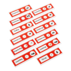 Набір мікропрепаратів Sigeta Entrance Будова комах (12 шт) (65122)