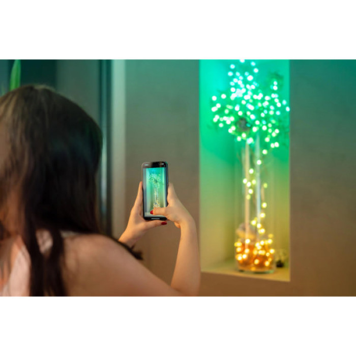 Гірлянда Twinkly Smart LED Strings USB 200 Candle-shaped RGB LEDs, Green Wire, USB-C 12м (TWKC200RGB-G)