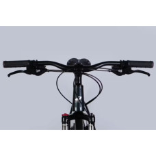 Велосипед Formula 29" THOR DD рама-19" AL 2026 чорний зі сріблястим (OPS-FR-29-429)