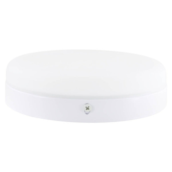 Світильник точковий Євросвітло LED-SR-170-24 4200К без рамки