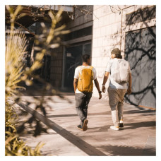 Рюкзак для ноутбука Thule 15.6" EnRoute 23L TEBP4216 Natural Orange (3205181)