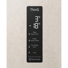 Холодильник LG GC-B509MEWM