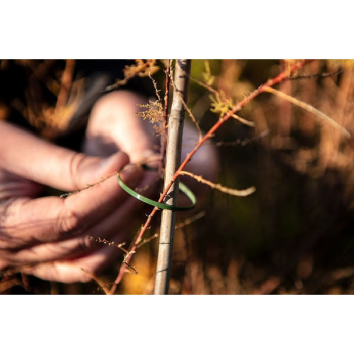 Стяжка Neo Tools 50шт, пластик, 4.8х160мм, зелена (15-979)