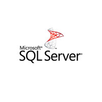 ПЗ для сервера Microsoft SQL Server 2025 Standard - 2 Core License Pack - 3 year Subscript (DG7GMGF0VNH2_0006_P3Y_A)
