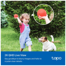 Камера відеоспостереження TP-Link TAPO-C425-KIT (TAPO-C425KIT)