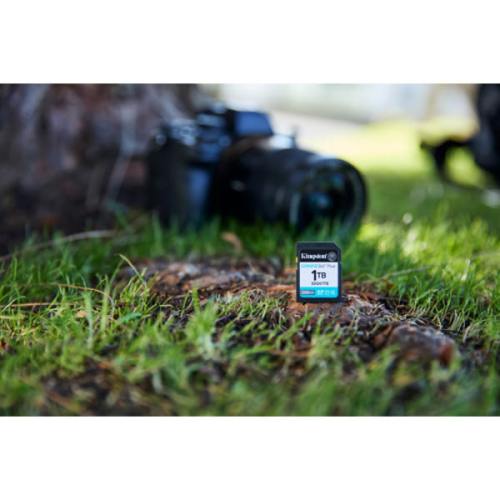 Карта пам'яті Kingston 1TB SDXC сlass 10 UHS-I U3 V30 Canvas Go Plus G4 (SDG4/1TB)