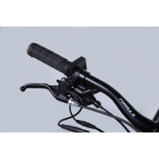 Електровелосипед Formula 29" eF-1 DD CS рама-21" 48B 17.5А*г 500Вт 2026 сріблясто-чорний (ELB-FR-29-256)