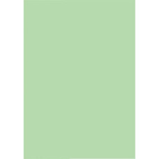 Папір Buromax А4, 80g, PASTEL light green, 20 sheets, 80g (BM.2721220-15)