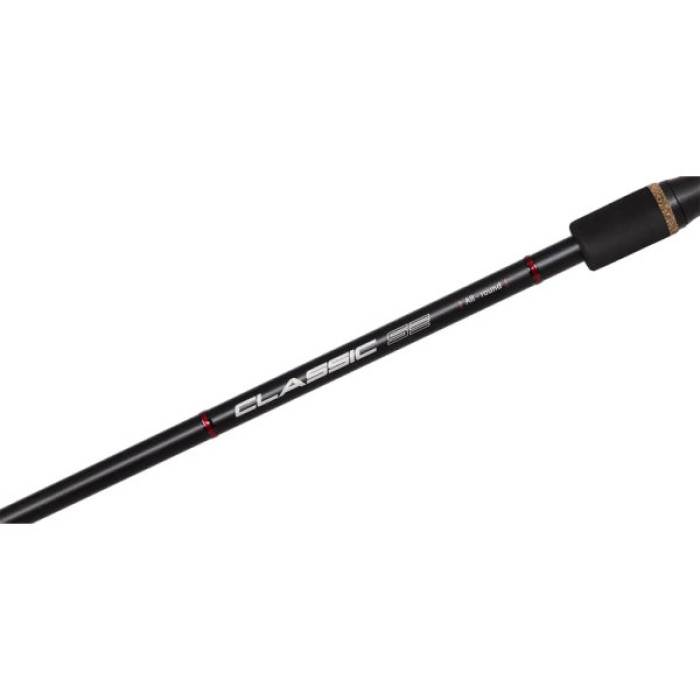 Вудилище Brain Classic SE 3.00m max 80g (1858.56.40)