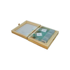 Набір мікропрепаратів Sigeta Ботаніка 25 шт (65104)