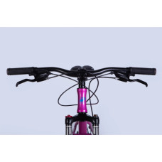 Велосипед Formula 26" ALPINA DD FR рама-15" AL 2026 рожево-синій (OPS-FR-26-805)
