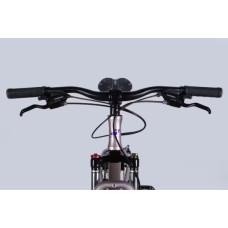 Велосипед Formula 26" ALPINA DD рама-15" AL 2026 сріблясто-фіолетовий (OPS-FR-26-806)