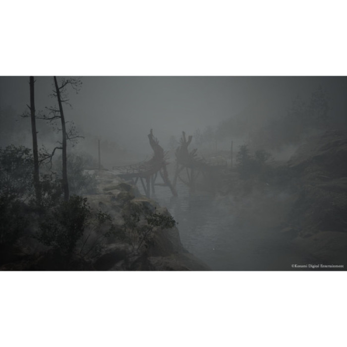 Гра Sony Silent Hill f, BD диск (4012927151617)