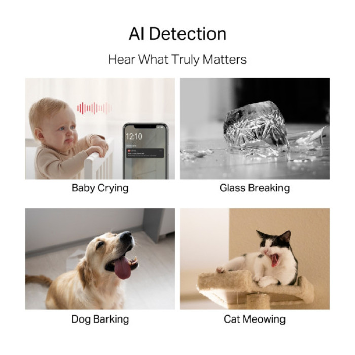 Камера відеоспостереження Mercusys IP-Камера MERCUSYS MC230 5MP N300 microSD motion detection. AI (MC230)