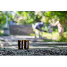 Батарейка Panasonic D LR20 Alkaline Power * 2 (LR20REB/2BP)