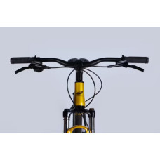 Велосипед Formula 29" ZEPHYR 1.0 HDD рама-21" AL 2026 золотисто-коричневий (OPS-FR-29-454)