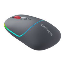 Мишка Canyon MW-22 Dual Band RGB Wireless Dark Grey (CNS-CMSW22DG)