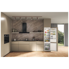 Холодильник Whirlpool WHC20D023B1SF