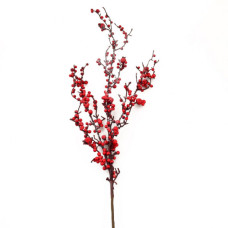 Декоративна гілка YES! Fun з червоними ягодами засніжена, 98 см (973489)