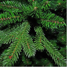 Штучна ялинка Triumph Tree Deluxe Sherwood зелена 1,55 м (8711473288407)