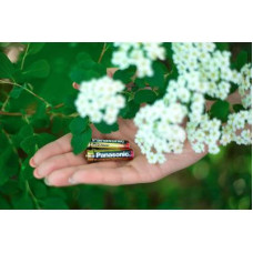 Батарейка Panasonic AAA LR03 Pro Power * 2 (LR03XEG/2BP)