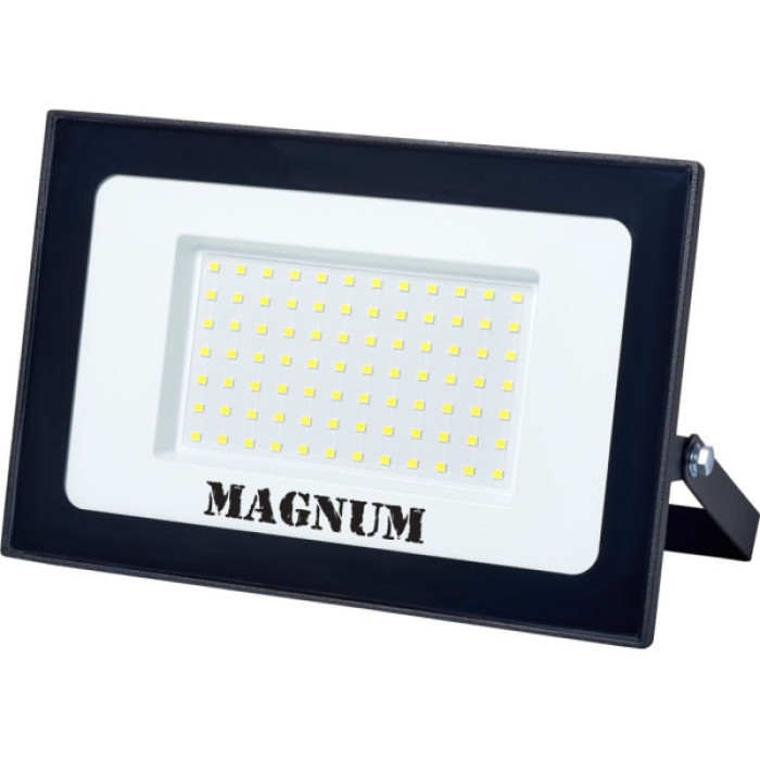 Прожектор MAGNUM FL12 ECO LED 100Вт slim 6500К IP65 (90018087)