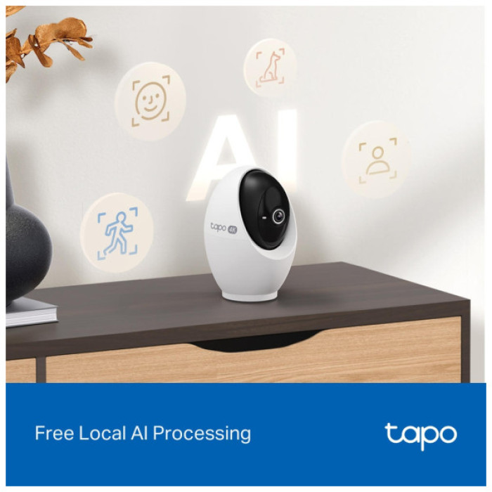 Камера відеоспостереження TP-Link TAPO-C260