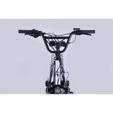 Електровелосипед Dorozhnik 20" ADAMANT HDD рама-18,5" 48B 17.5А*г 750Вт 2026 срiблястий (ELB-D-20-078)