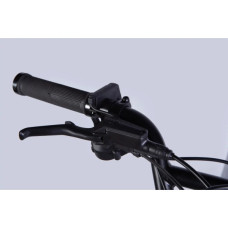 Електровелосипед Dorozhnik 20" ADAMANT HDD рама-18,5" 48B 17.5А*г 750Вт 2026 срiблястий (ELB-D-20-078)