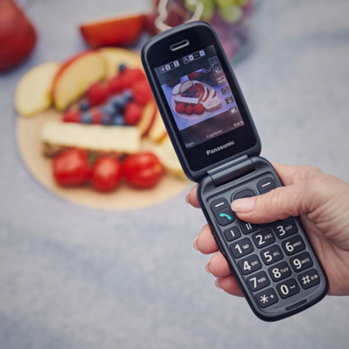 Мобільний телефон Panasonic KX-TU550 Grey (KX-TU550EXC)