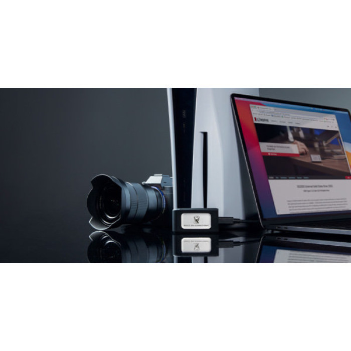 Накопичувач SSD USB Type-C 500GB XS2000 Kingston (SXS2000/500GA)