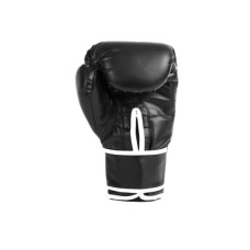Боксерські рукавички Everlast Core 2 GL 870251-70 чорний L/XL (009283608743)