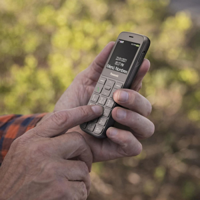 Мобільний телефон Panasonic KX-TU160 Grey (KX-TU160EXG)