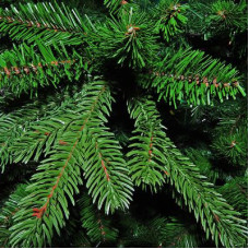 Штучна ялинка Triumph Tree Deluxe Sherwood зелена 2,15 м (8711473288421)