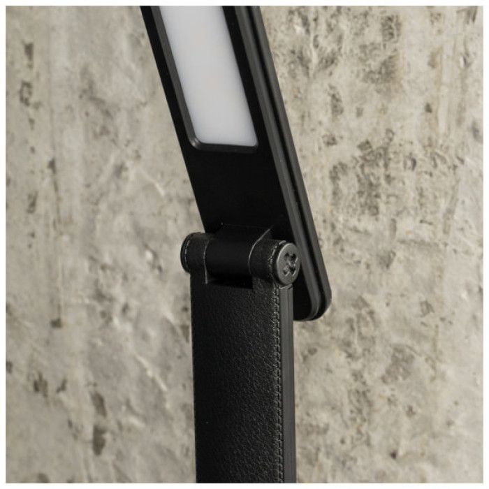 Настільна лампа Євросвітло Ridy-095 9,5Вт чорна