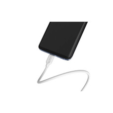 Дата кабель USB 2.0 AM to USB-C 2.0m 2.4A white BOROFONE (6957531090021)