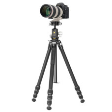 Штатив Vanguard VEO 5 264AB-160S (DAS303045)