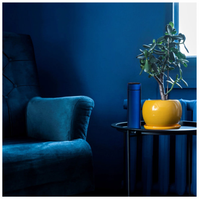 Термос Line Art Cusco 500 мл синій (60032922LA-03)