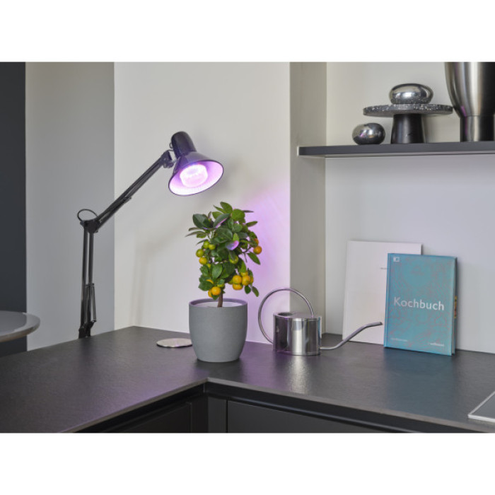 Лампочка Osram LED T80 GROW 20W CL 230V FR E27 (4058075845800)