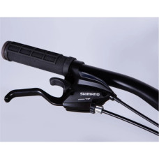 Велосипед Formula 29" MOTION DD FR рама-17" AL 2026 зелений (OPS-FR-29-417)