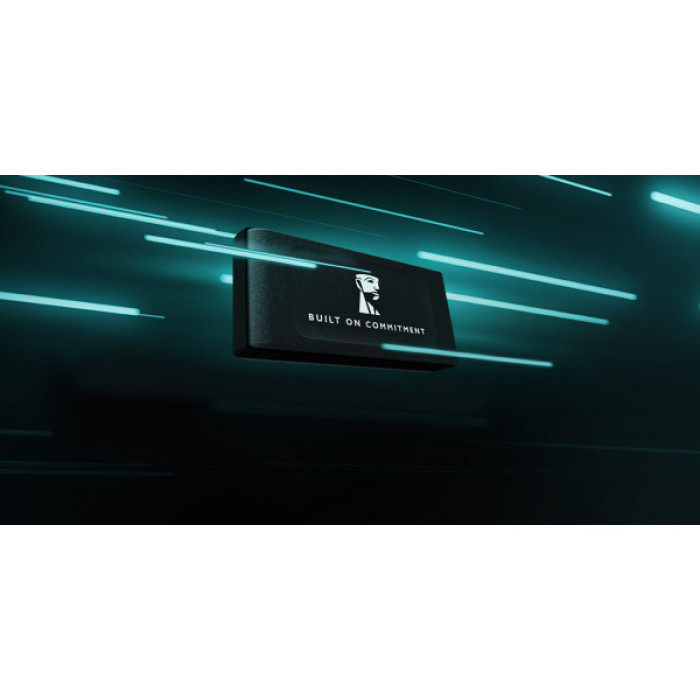 Накопичувач SSD USB Type-C 1TB XS1000 Kingston (SXS1000/1000GA)