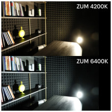 Прожектор Євросвітло ZUM F02-100 4200K