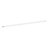 Лампочка MAGNUM FLE-002 18 Вт T8 6500K 220В G13 (90021054)