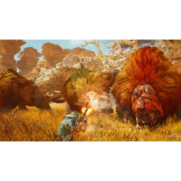 Гра Sony Monster Hunter Wilds, BD диск (5055060905029)